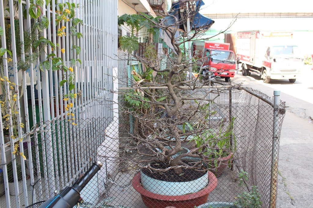 can canh chung cu nghieng 45cm o sai gon co the do sap bat cu luc nao khien hang tram nguoi phai chuyen nha can tet