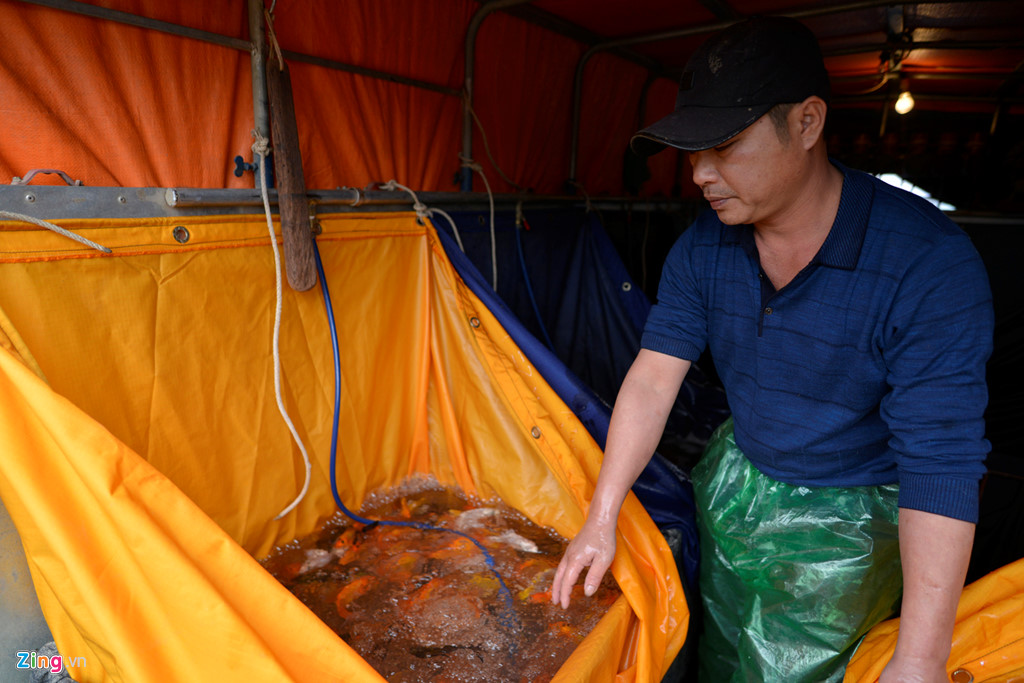 cho ca lon nhat ha noi tap nap truoc ngay tao quan chau troi
