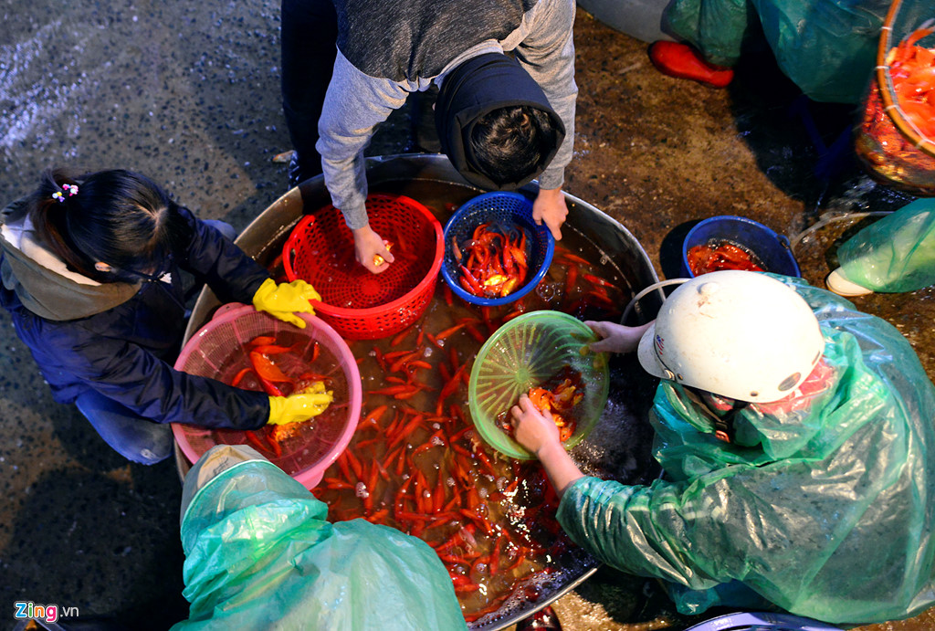 cho ca lon nhat ha noi tap nap truoc ngay tao quan chau troi