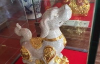 nam mau tuat tuong cho hut khach