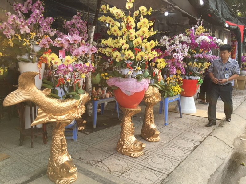 hot bac hoa lan tet ban dat nhu tom tuoi