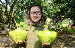 Bưởi hình thỏi vàng có chữ Tài - Lộc giá 1 triệu đồng mỗi cặp