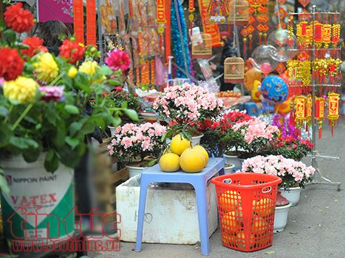 Cận Tết, giá hoa tươi tăng chóng mặt can tet gia hoa tuoi tang chong mat