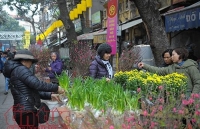 du bao thoi tiet 142 mien bac am tung bung bao sanba suy yeu