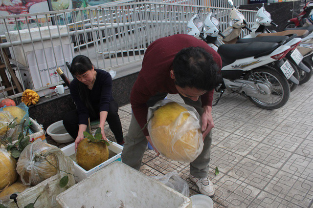 Độc đáo bưởi 'khổng lồ' 10kg, giá bạc triệu một quả ở Hà Nội doc dao buoi khong lo 10kg gia bac trieu mot qua o ha noi