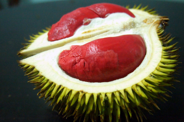 chuoi do au buoi hong ruc hang hiem cung tet cau may man