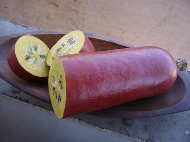 chuoi do au buoi hong ruc hang hiem cung tet cau may man