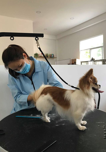 chi tien trieu cho cun cung di spa nghi duong ngay tet