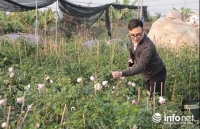 ba me viet kieu my chia se kinh nghiem cham vuon hoa gan 800m2