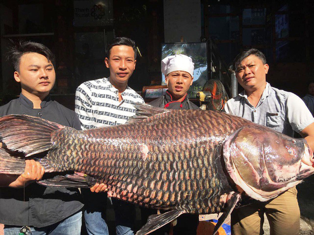 chi hang chuc trieu dong mua ca ho de an cau may