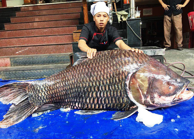 chi hang chuc trieu dong mua ca ho de an cau may