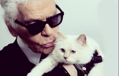 nhung dieu danh bat hu truyen ve nang meo cua karl lagerfeld