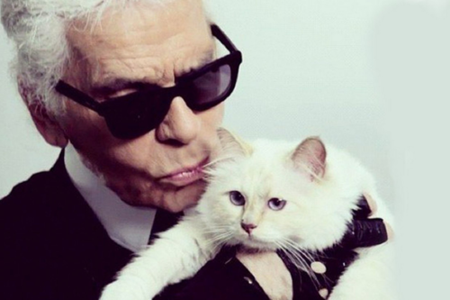meo cua karl lagerfeld tro thanh meo giau nhat the gioi