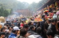 cung la di le cau may dau nam nhung nguoi nhat thu thai nguoi viet te tua