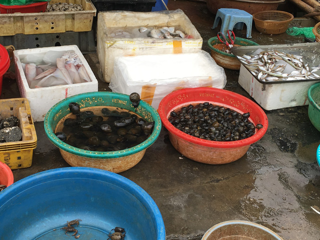 gia oc tang dan ha noi chep mieng them vi nhieu hang bun oc tam nghi sau tet
