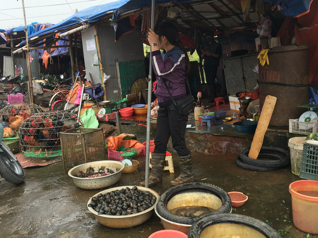 gia oc tang dan ha noi chep mieng them vi nhieu hang bun oc tam nghi sau tet