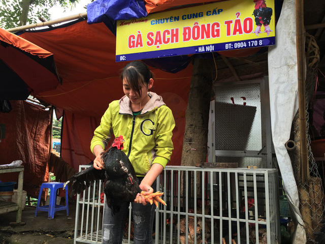 ngay hoi cung ga toan dan tiem nho cung ban tram con ngay ram