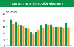 Xuất khẩu heo chính ngạch sang Trung Quốc Cờ đã phất?