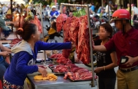 hai thang dau nam viet nam nhap hon 2000 tan thit bo