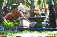 thong tin 4000 tre em tai tay nguyen lai nguoi trung quoc la that thiet