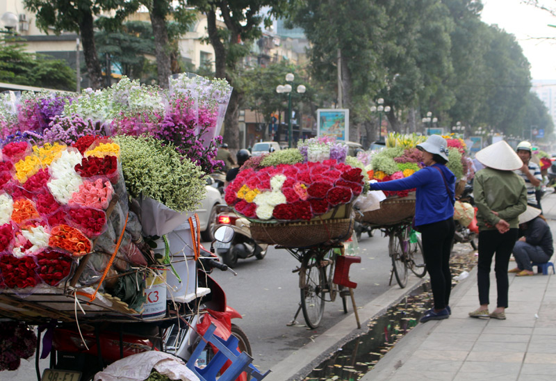 dai gia dinh bo que len pho moi ngay dap xe 50 km kiem song