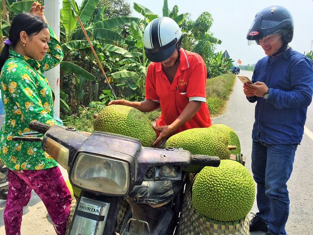 gia mit thai cao ky luc mot trieu dong mot trai 20 ki