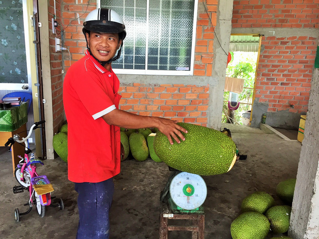 gia mit thai cao ky luc mot trieu dong mot trai 20 ki