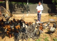 lao nong chong doi thoi tiet khac nghiet cai tao dat can trong loai cay cho thu nhap 150 trieu dong tu canh va l