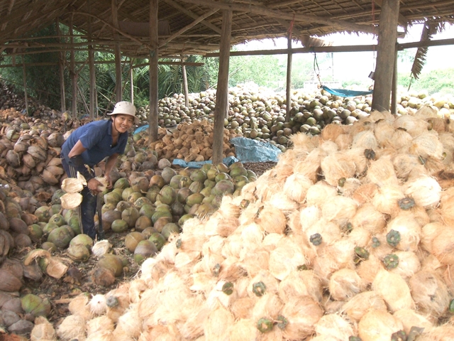 lien ket tieu thu dua chiu suc ep tu thuong lai trung quoc