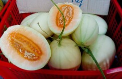 Dưa lê vàng như bí ngô: Đặc sản lạ đích thị hàng Tàu