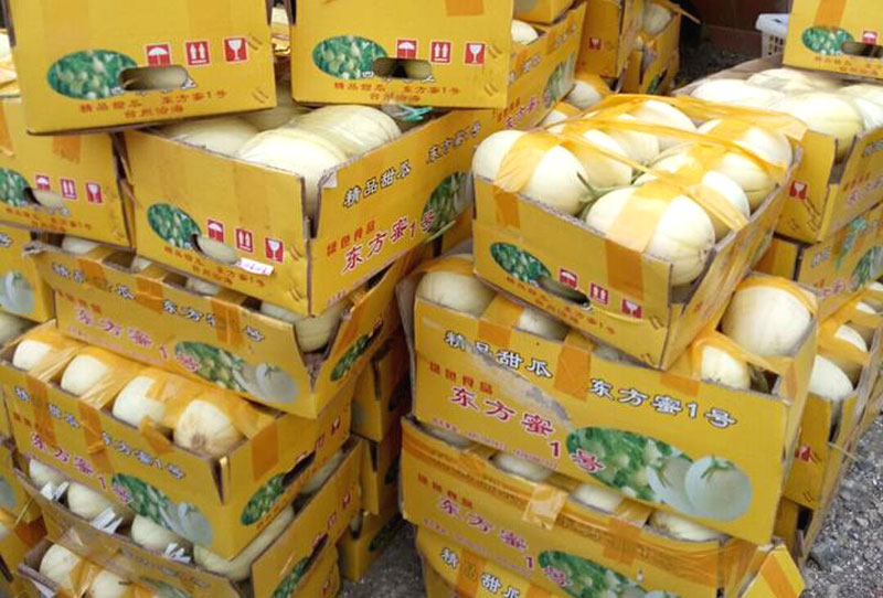 dua le vang nhu bi ngo dac san la dich thi hang tau