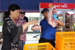 Giá heo hơi hôm nay 3/7 tiếp tục tăng do Trung Quốc tăng nhập khẩu