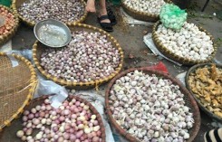 Đại gia tẩm bổ: Sâm Ngọc Linh 400 triệu, nấm lim xanh 100 triệu