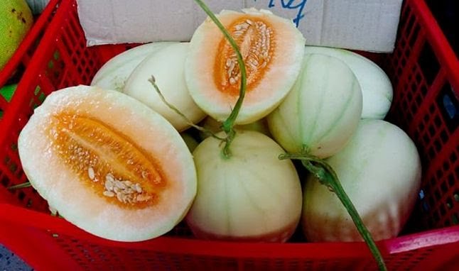 7200 tan dua trung quoc tran cho coi chung 3 loai dua tau doi lot hang viet