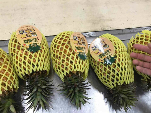 dua ngoai gia gap chuc lan dua noi