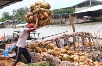 vi sao nong san am thuc viet chua lam giau duoc cho nguoi viet