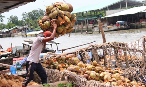 gia dua ben tre thap nhat trong 10 nam qua