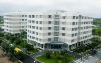 tin kinh te 57 yeu cau lam ro dau gia dat cong gia beo bau duc e nang trai phieu