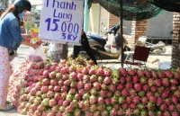 hon nua trieu dong mot trai thanh long ruot do dai loan