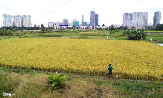 thanh da treo hon 25 nam chua xot khong kem thu thiem