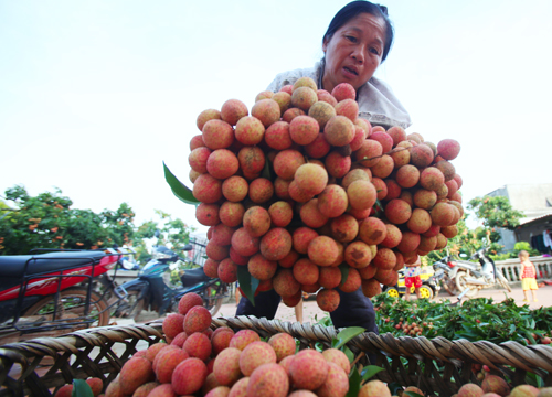 gan 11000 tan vai thieu bac giang xuat ngoai bang may bay