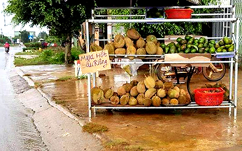 lam dong sot hat sau rieng