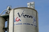 vicem doanh thu ngan ty nhung nhieu cong ty con lam an thua lo mat an toan ve tai chinh