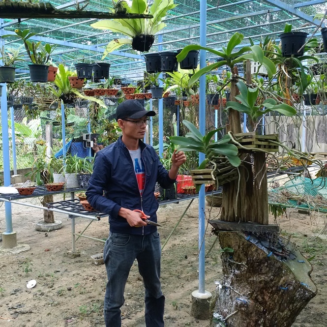 nguong mo vuon lan rung lon nhat xu quang vua choi lai co thu nhap