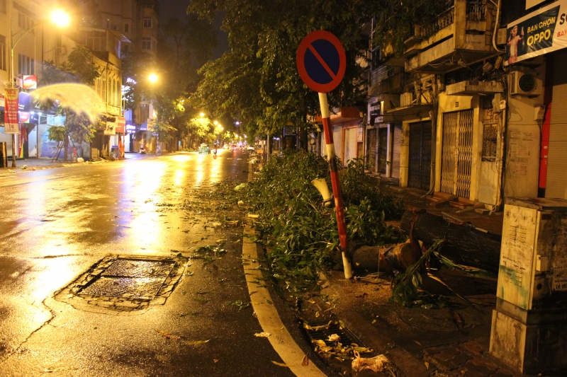 ha noi bao so 3 chua vao dat lien cay da do