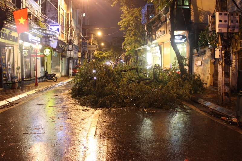 ha noi bao so 3 chua vao dat lien cay da do