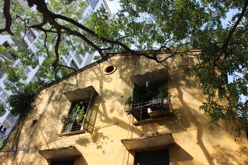 ha noi dan tai mat vi cay xa cu doa do truoc bao so 3