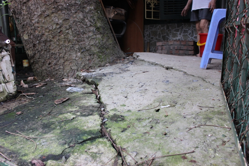 ha noi dan tai mat vi cay xa cu doa do truoc bao so 3