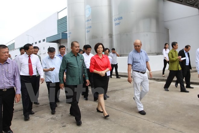 doan dai bieu cap cao lao tham va lam viec tai nha may sua viet nam