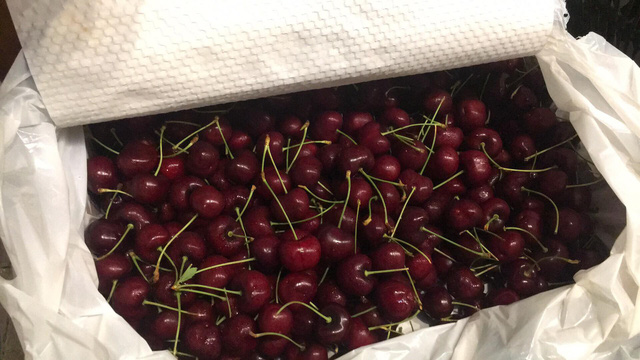 cherry vip sang chanh gia trieu bac tuan van ban vai tram kg cho dai gia